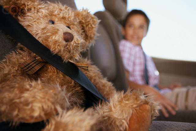 Teddy bear wearing a seat belt