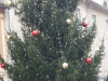 20161219_115540